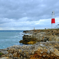 Buy canvas prints of Portland lighthouse Dorset by Diana Mower
