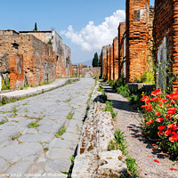 Buy canvas prints of Pompeii Back Street by Diana Mower