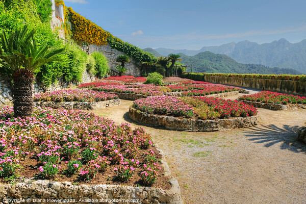 Ravello Gardens Italy Picture Board by Diana Mower