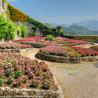 Buy canvas prints of Ravello Gardens Italy by Diana Mower