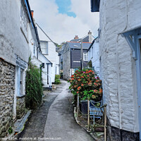 Buy canvas prints of Port Isaac Street Cornwall by Diana Mower