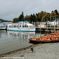 Buy canvas prints of Lake Windermere Shore Cumbria by Diana Mower