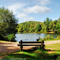 Buy canvas prints of Cannock Chase Seat by Diana Mower