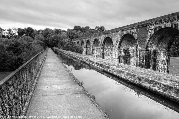 Chirk Aqueduct and Viaduct  Picture Board by Diana Mower