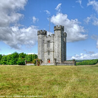 Buy canvas prints of Hiorne Tower West Sussex by Diana Mower