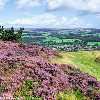 Buy canvas prints of  Ilkley Moor and Town by Diana Mower