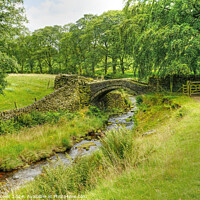 Buy canvas prints of Eastergate Bridge Marsden Moor Yorkshire by Diana Mower