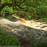 Buy canvas prints of Hebden Beck near Hardcastle Crags by Diana Mower
