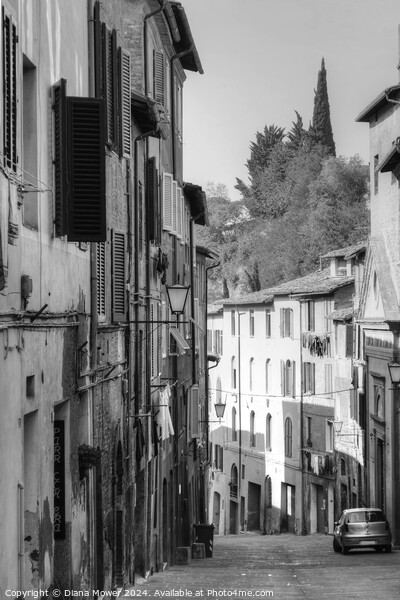 Siena Street Italy Tuscany in monochrome Picture Board by Diana Mower