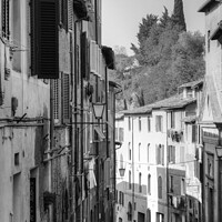 Buy canvas prints of Siena Street Italy Tuscany in monochrome by Diana Mower