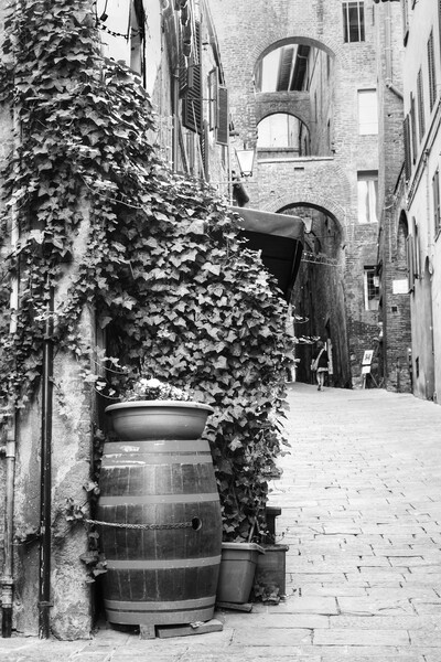 Siena Street Italy  Black and White Picture Board by Diana Mower
