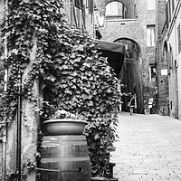 Buy canvas prints of Siena Street Italy  Black and White by Diana Mower