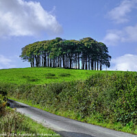 Buy canvas prints of  Nearly Home trees Cornwall by Diana Mower