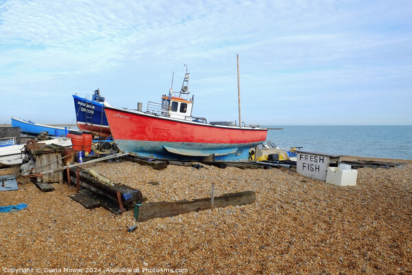 Deal Beach Kent Fishing boats Picture Board by Diana Mower