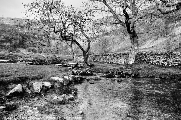  Malham Beck at Malham Cove Picture Board by Diana Mower