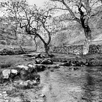 Buy canvas prints of  Malham Beck at Malham Cove by Diana Mower