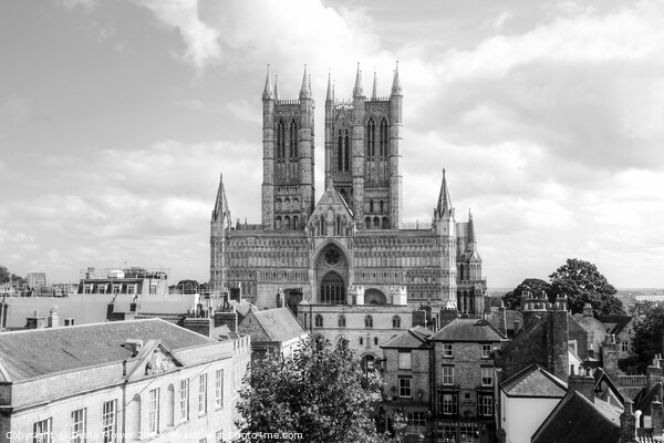 Lincoln Cathedral Monochrome Picture Board by Diana Mower