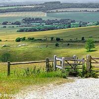Buy canvas prints of The Trundle View Panoramic by Diana Mower