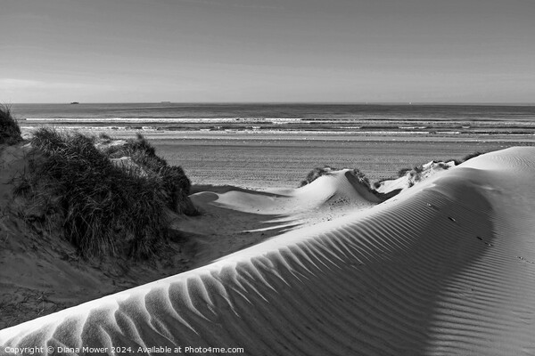 Camber Sands Dunes Monochrome Picture Board by Diana Mower