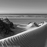 Buy canvas prints of Camber Sands Dunes Monochrome by Diana Mower