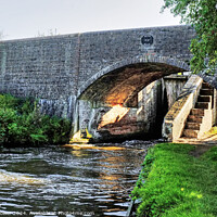 Buy canvas prints of Broom Bridge Penkridge Canal by Diana Mower