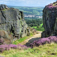 Buy canvas prints of Ilkley Moor View by Diana Mower