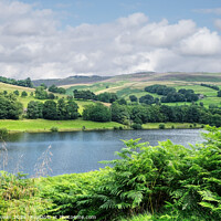 Buy canvas prints of Ladybower Reservoir Derbyshire by Diana Mower