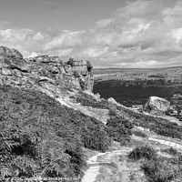 Buy canvas prints of The Cow and Calf Ilkley Monochrome by Diana Mower