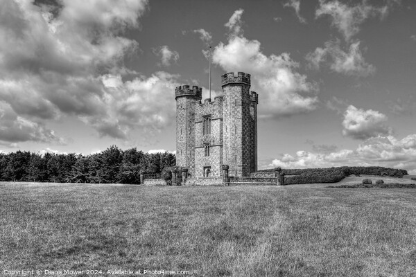 Hiorne Tower West Sussex Monochrome Picture Board by Diana Mower