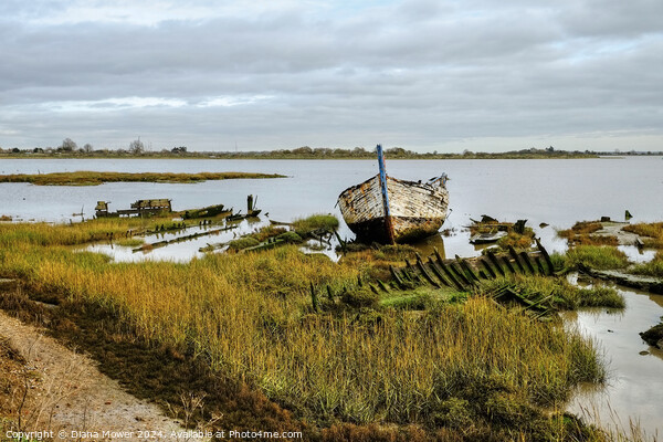 Boat Wrecks Maldon Essex Picture Board by Diana Mower