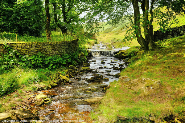  River Colne near Marsden Moor  Picture Board by Diana Mower