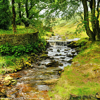 Buy canvas prints of  River Colne near Marsden Moor  by Diana Mower