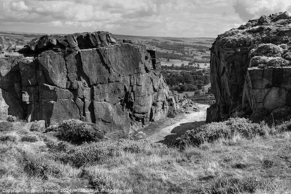 Ilkley Moor Yorkshire Picture Board by Diana Mower