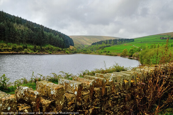 Ogden Reservoir Yorkshire Picture Board by Diana Mower