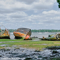 Buy canvas prints of River Orwell Wrecks at Pin Mill  by Diana Mower
