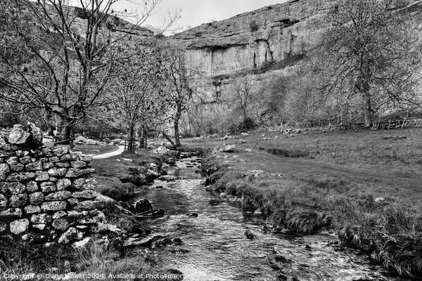  Malham Cove Yorkshire monochrome Picture Board by Diana Mower