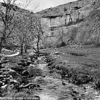 Buy canvas prints of  Malham Cove Yorkshire monochrome by Diana Mower