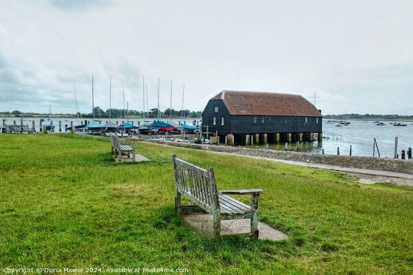 Bosham Quay and old Boat House   Picture Board by Diana Mower