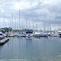 Buy canvas prints of Chichester Marina Sussex by Diana Mower