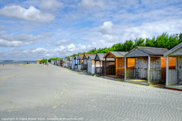 West Wittering beach Huts   Picture Board by Diana Mower