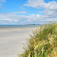 Buy canvas prints of West Wittering Beach and Dunes by Diana Mower