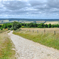 Buy canvas prints of The Trundle South Downs View by Diana Mower