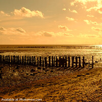 Buy canvas prints of  Mersea Island Sunset by Diana Mower