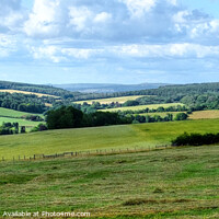 Buy canvas prints of Kennel Hill South Downs Landscape View by Diana Mower
