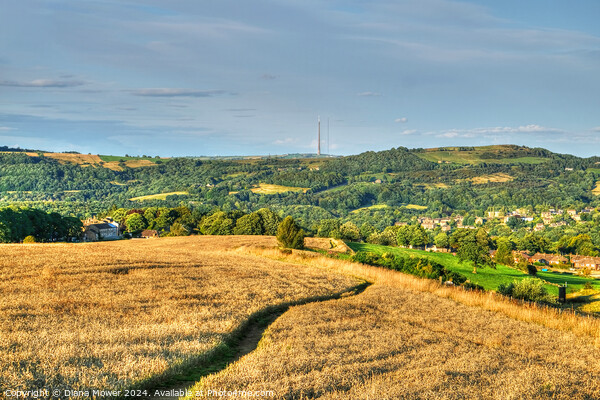 Holmfirth Footpath to Emley Moor Picture Board by Diana Mower