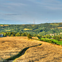 Buy canvas prints of Holmfirth Footpath to Emley Moor by Diana Mower