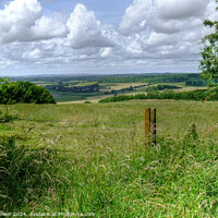 Buy canvas prints of Kingley Vale West Sussex by Diana Mower
