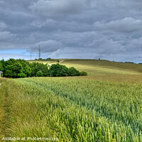 Buy canvas prints of The Monachs Way West Sussex   by Diana Mower