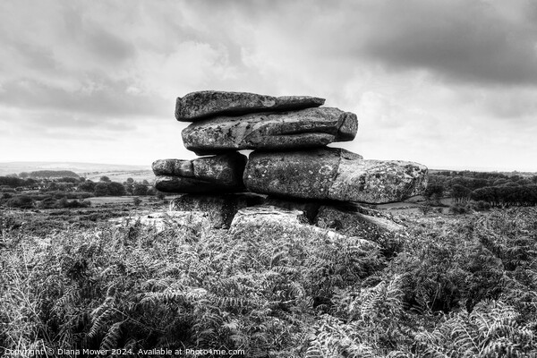 Carbilly Tor Cheesewring Monochrome Picture Board by Diana Mower