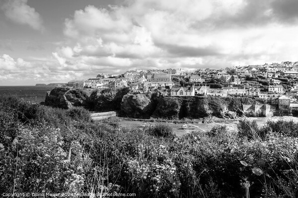 Port Isaac to Port Gaverne Monochrome Picture Board by Diana Mower